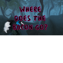 bacon hair is missing where is he?