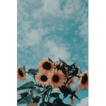the aesthetics ppl