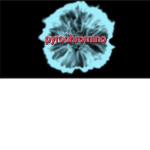 Pyrochromino fans and friends