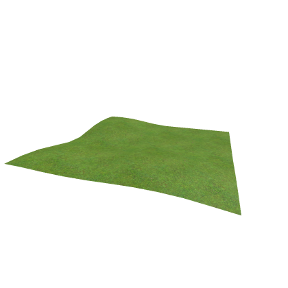 Grass