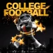 College Football icon