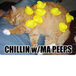 THE PEEPsSsSsSsss