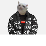 EPIK CATS!!!!