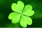 LUCKY_CLOVER