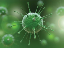 #StayAtHome ROBLOX: Coronavirus