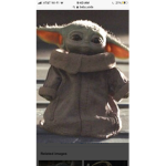 Yoda Fan Club!