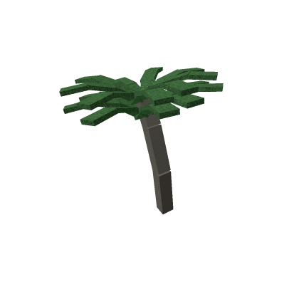 Palm Tree