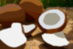 Faye’s coconuts