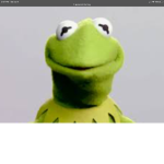 Kermit the frog squad yaaas