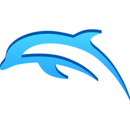 Dolphin Cheer Studios