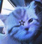 •SĮRĮUS ST4RZ•