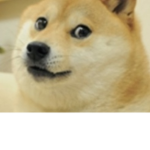 Doge Defense