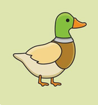 Teh real epik ducks