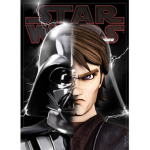 Jedi/sith Training
