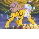 -Team Thunder-