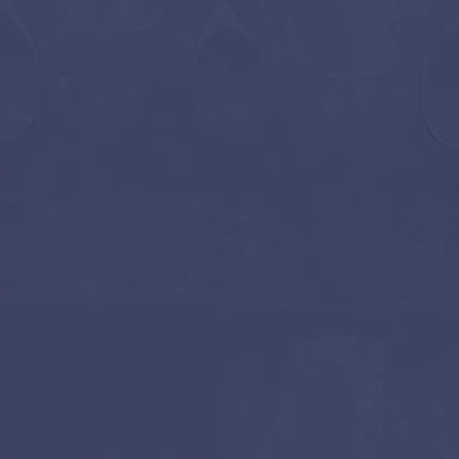 Leak asset thumbnail