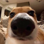 efrnferfnrenf