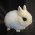 Tiny and cute