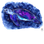 The Galaxy Turtle Group