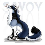 wolf elemental pack