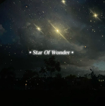 ・ Star Of Wonder・