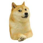The #### ###### Gang