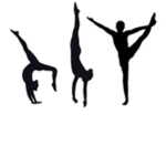 Pride Gymnastics
