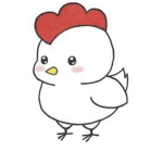 The Crazy Chicken Squad