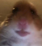 GamerRaymond