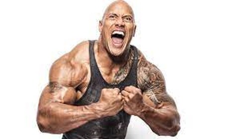 the rock dwayne rock rock rock the the rock the