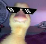 Kung fu. Brûlée teacher