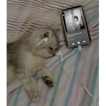 A e s t h e t i c M i l l i e