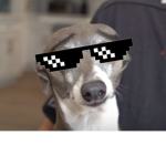 kermits fan club