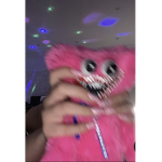 Sidnnapk