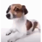 2D1D