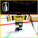 hockey noobs
