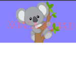 (: Koala Squad!!! :)