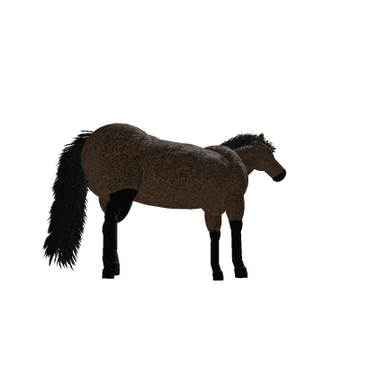 Bay Horse