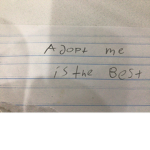 Adopt is the best game ever!!!