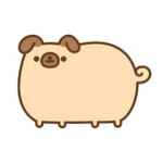 Dog Pusheen