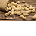 PEANUT CULT!!!!!!!!!!!1