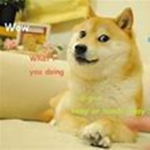 the temple of doge mans