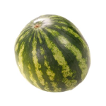 Melon clan!!