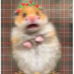 Wwweeerr