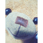 Oscar the bear