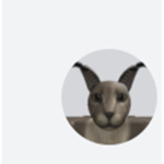 popcat’s fan group