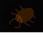 Cockroach ejjekww