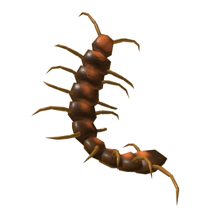 Brown Giant Centipede Tail