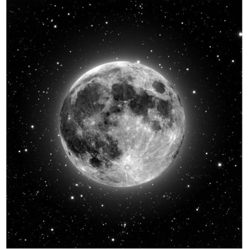[NEW UPDATE] My pet moon