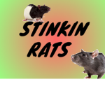 Stinkin Rats